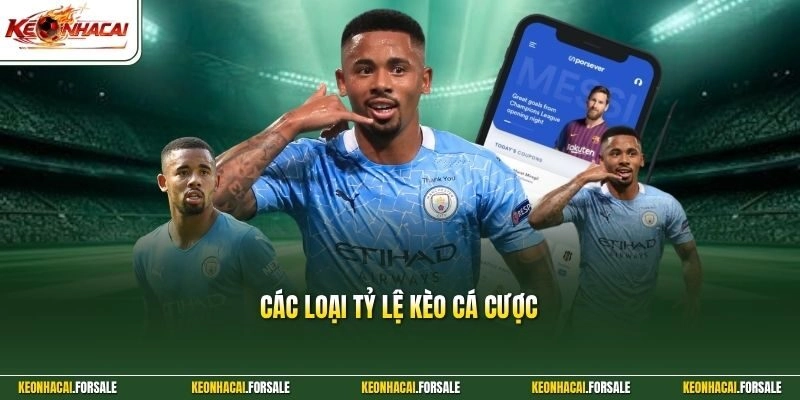 Các Loại Tỷ Lệ Kèo Cá Cược - Bí Quyết Đọc Bảng Vị Chuẩn Xác 